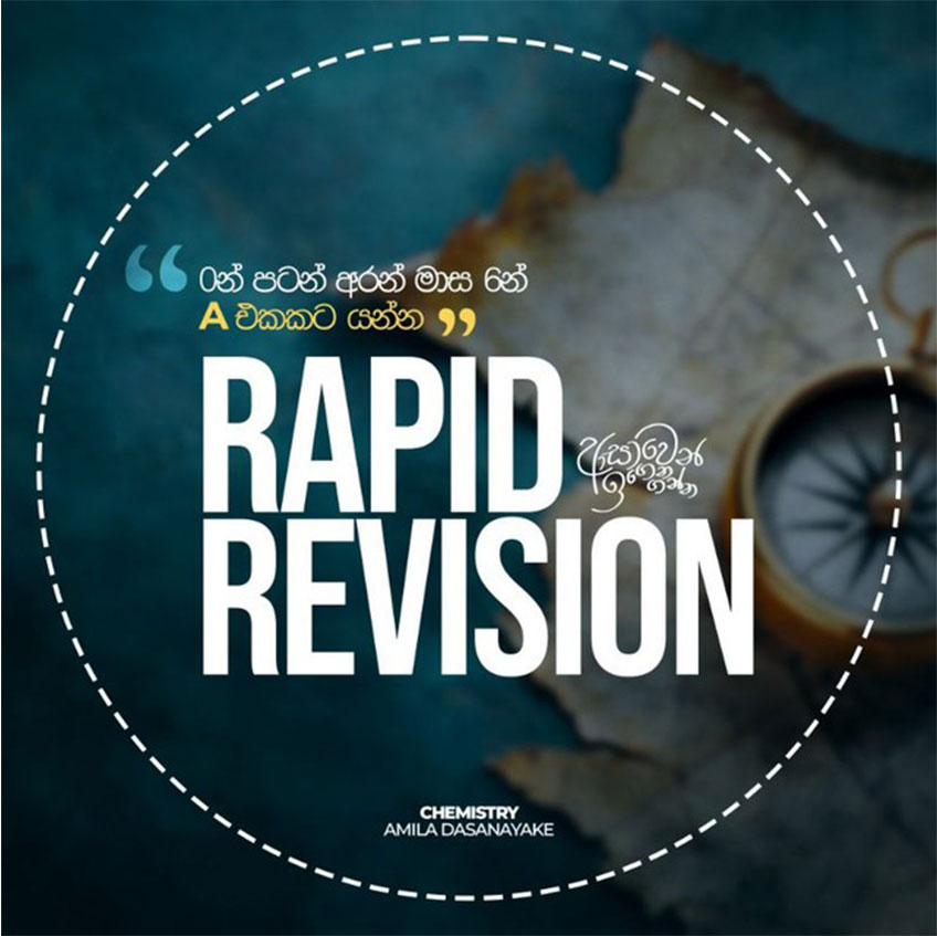 2025 Rapid