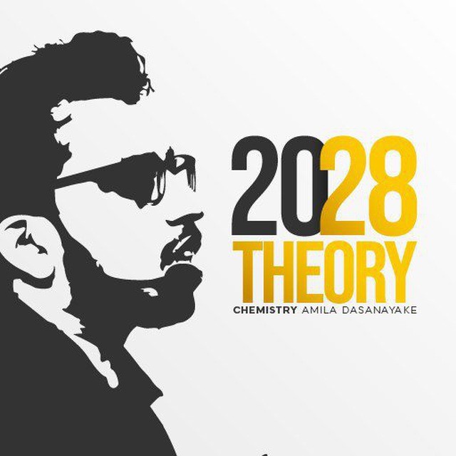 2028 Theory