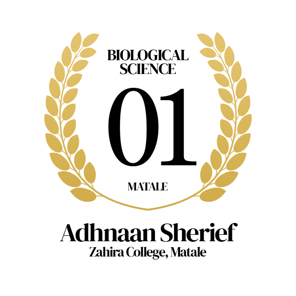 Rank Image