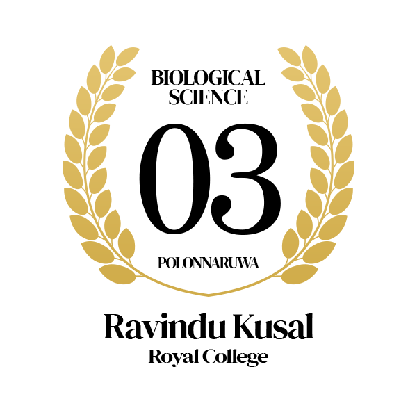 Rank Image