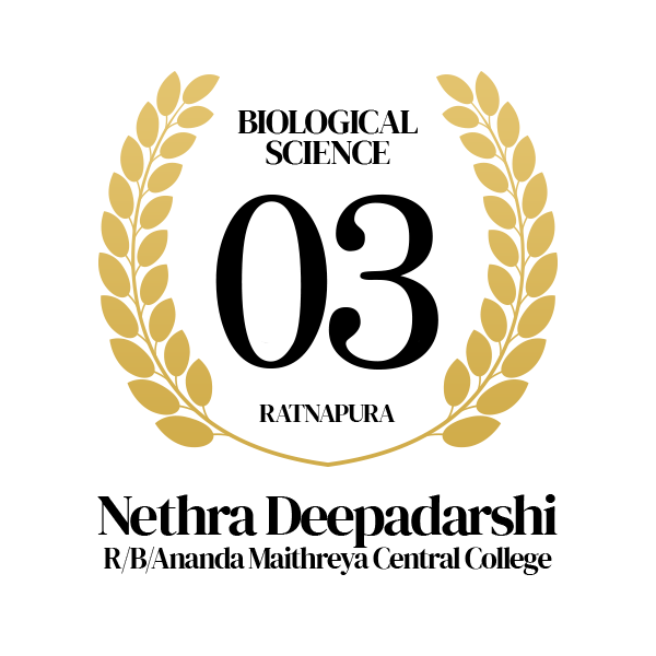 Rank Image