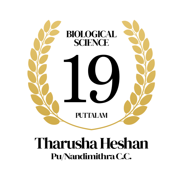 Rank Image