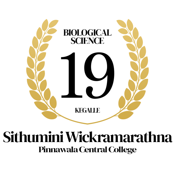 Rank Image