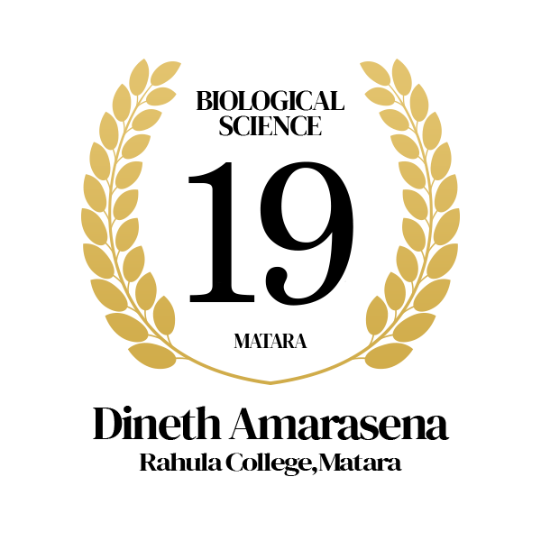 Rank Image