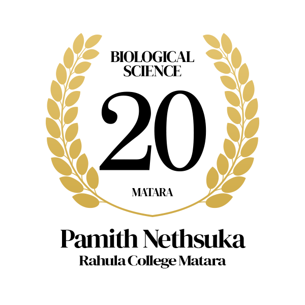 Rank Image