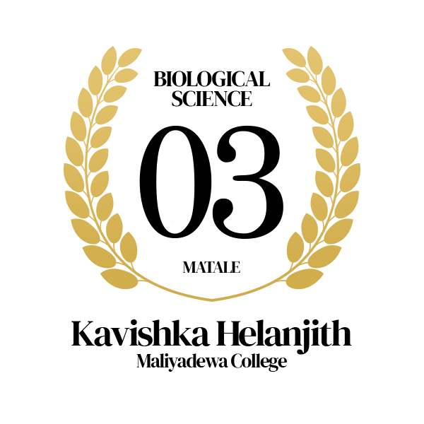 Rank Image