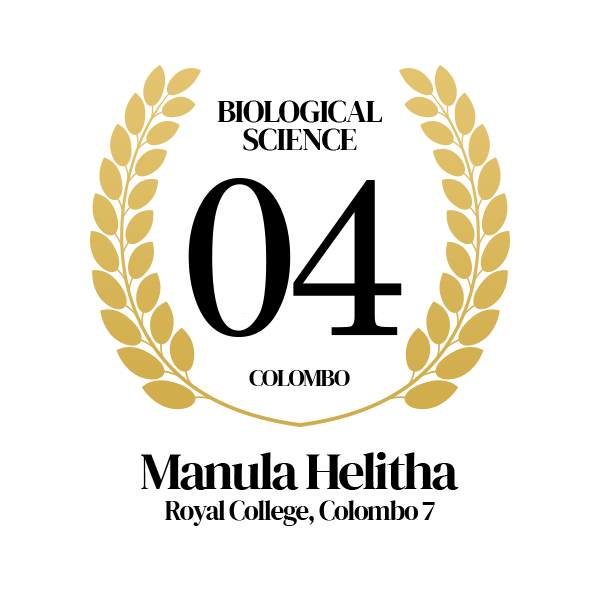 Rank Image