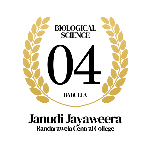 Rank Image