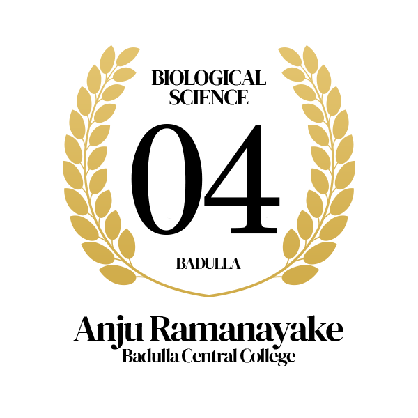 Rank Image