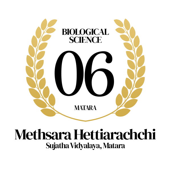 Rank Image