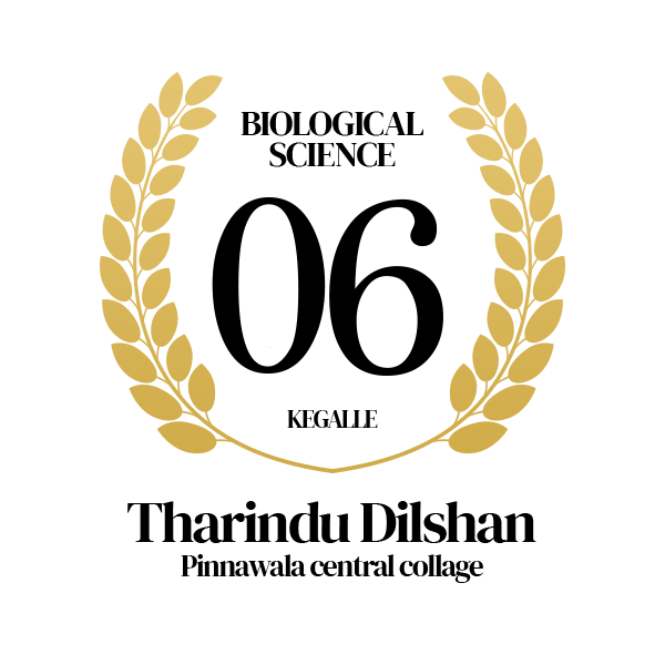 Rank Image