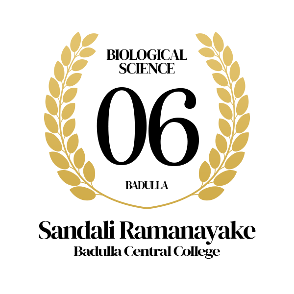 Rank Image