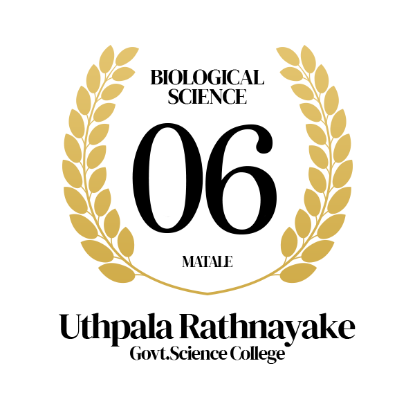 Rank Image