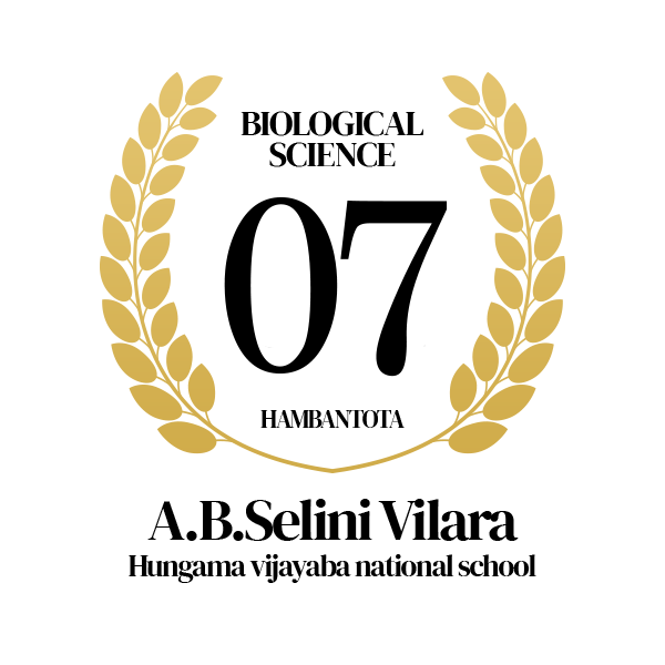 Rank Image