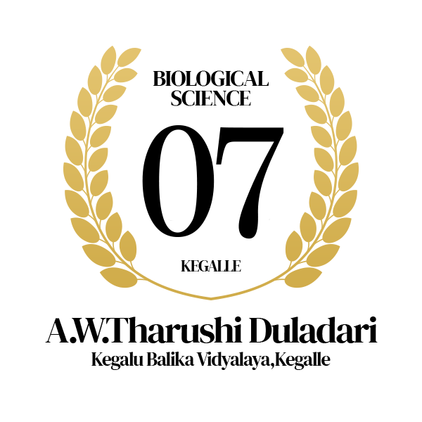 Rank Image
