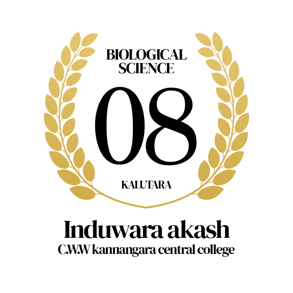 Rank Image
