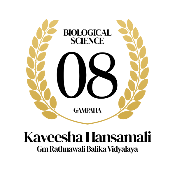 Rank Image