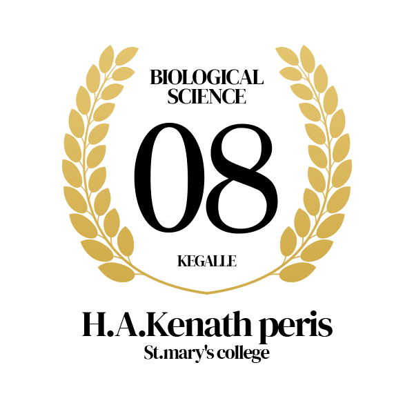 Rank Image