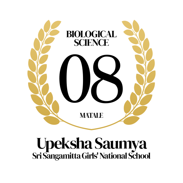 Rank Image