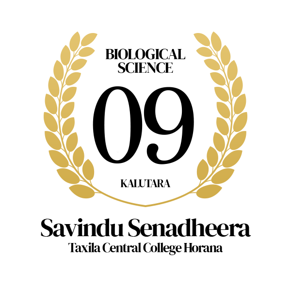Rank Image