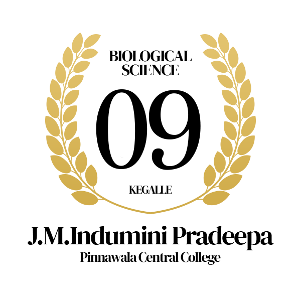 Rank Image