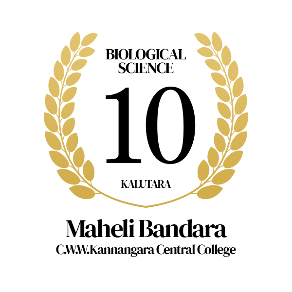 Rank Image