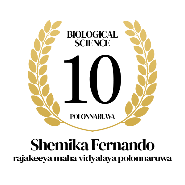 Rank Image
