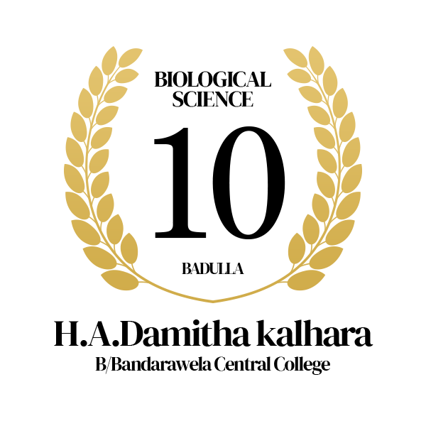 Rank Image