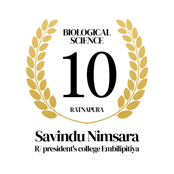 Rank Image