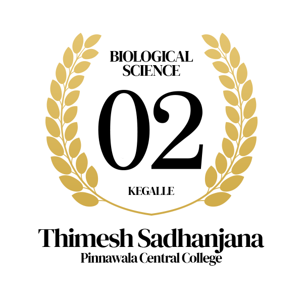 Rank Image