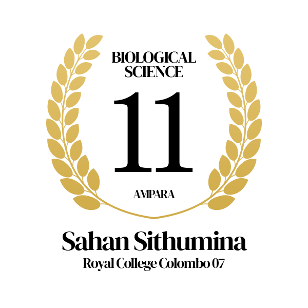 Rank Image