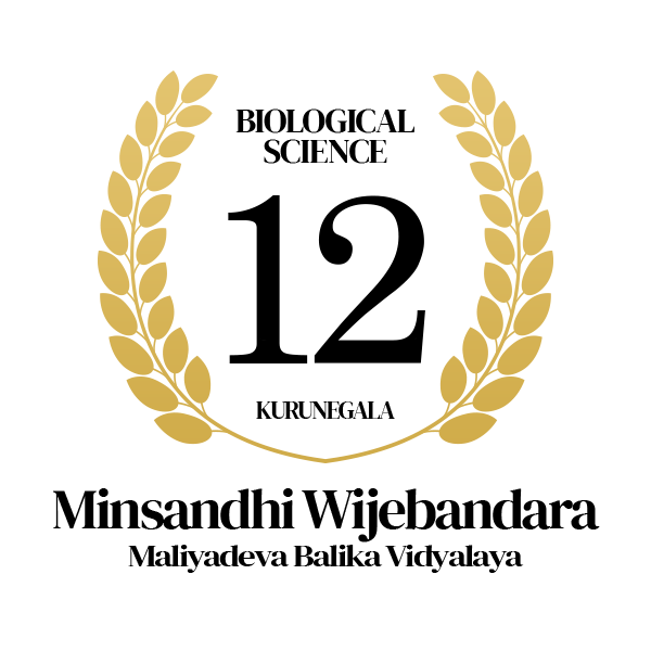 Rank Image
