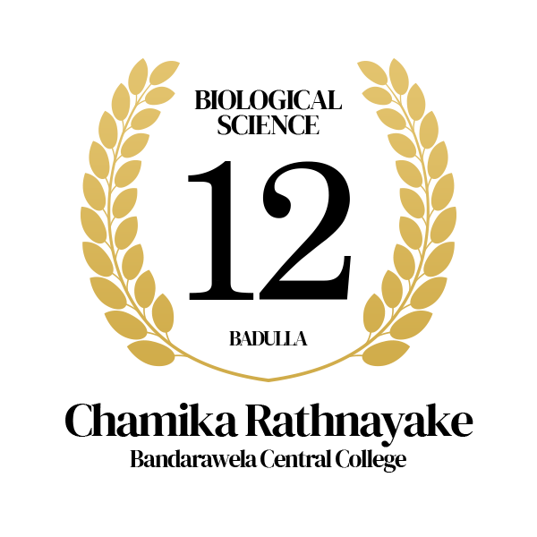 Rank Image