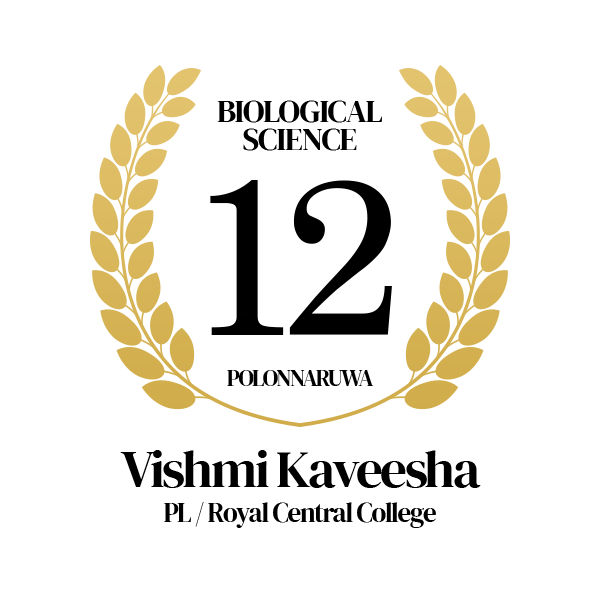 Rank Image