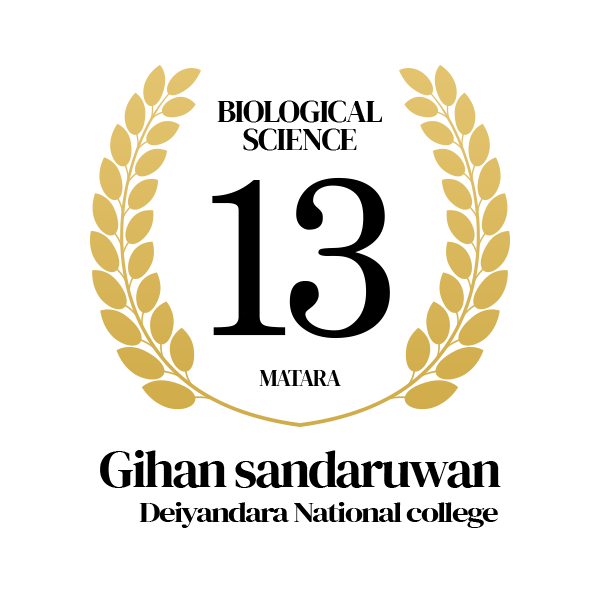 Rank Image