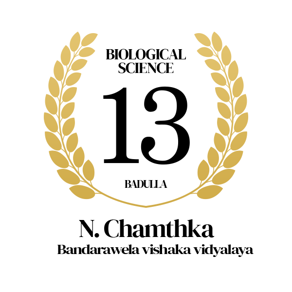Rank Image
