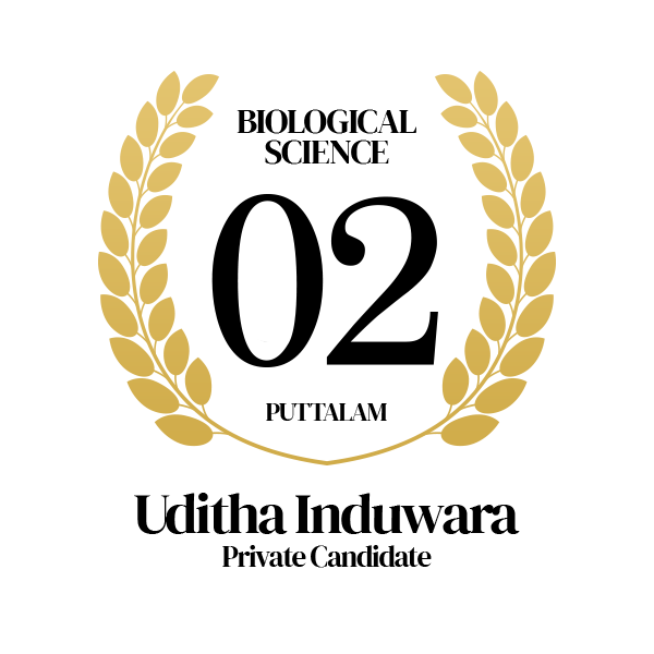 Rank Image
