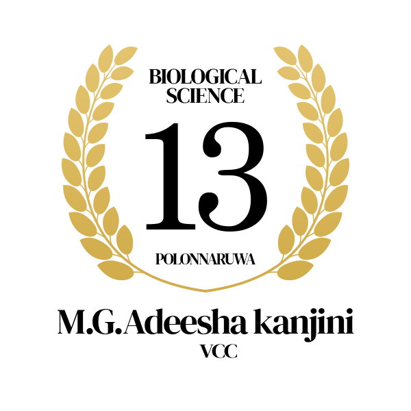 Rank Image