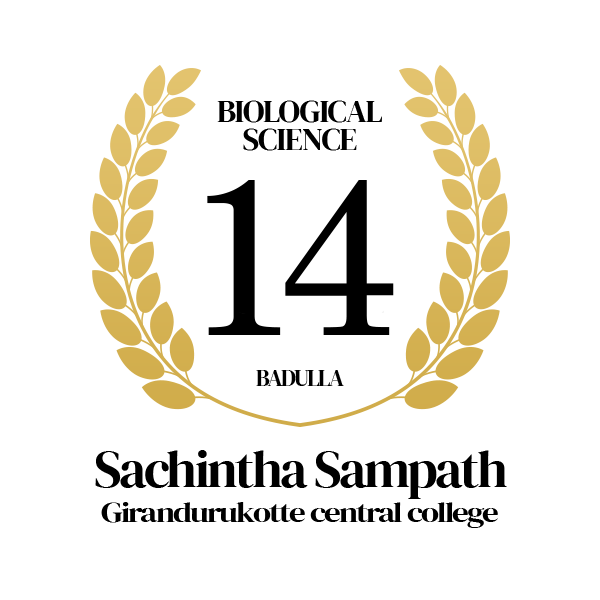 Rank Image