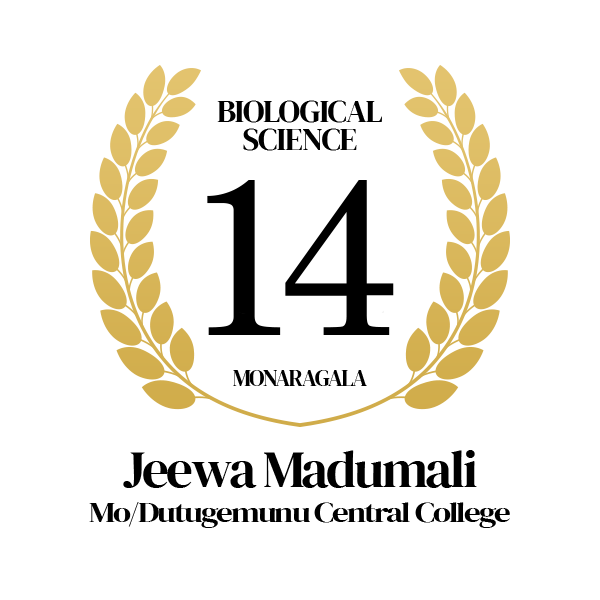 Rank Image