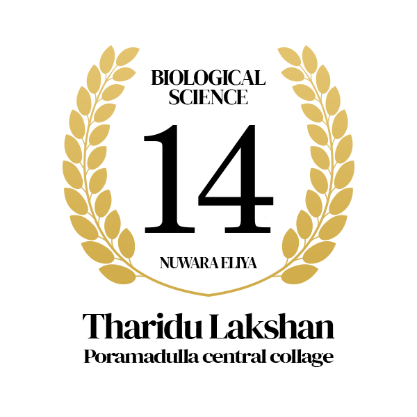 Rank Image