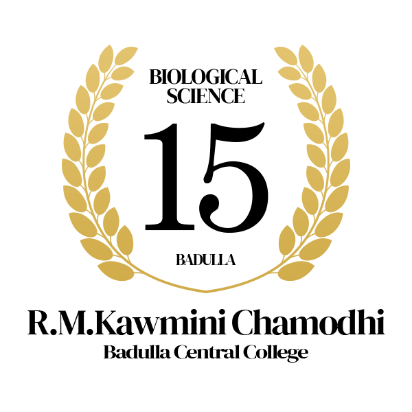 Rank Image