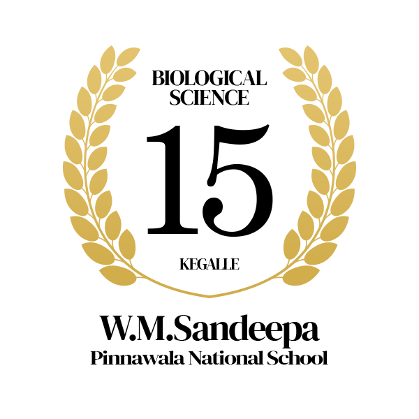 Rank Image