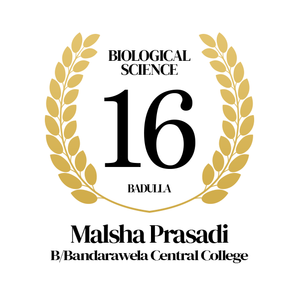 Rank Image