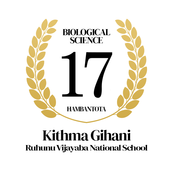 Rank Image