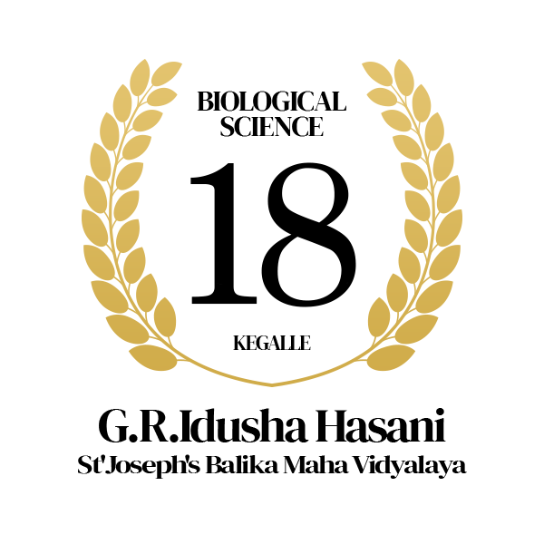 Rank Image